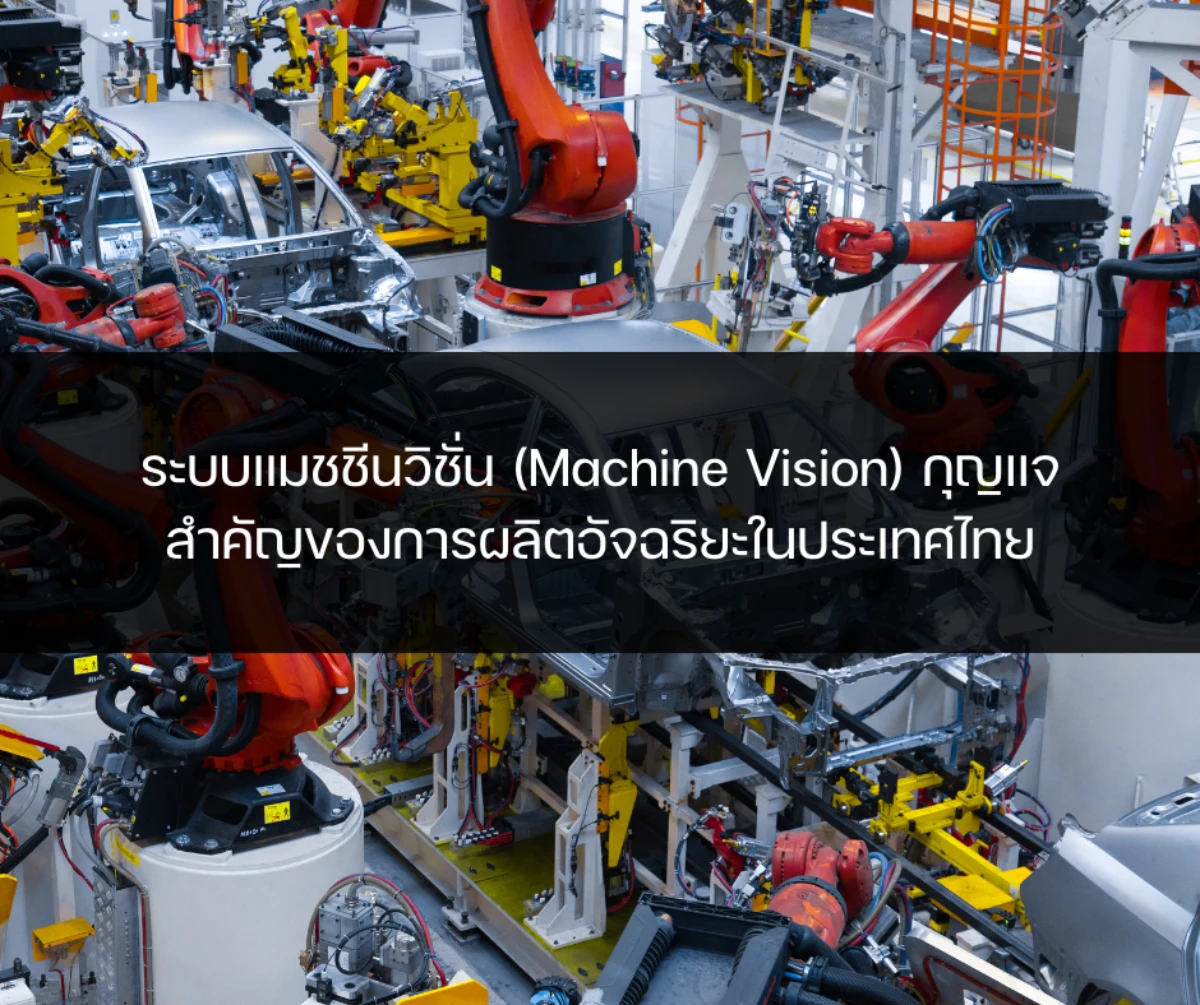 Machine Vision Thailand?